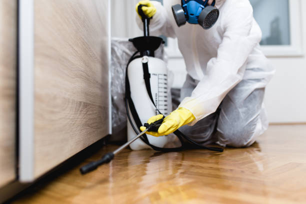 Best Residential Pest Control  in Cannelton, IN